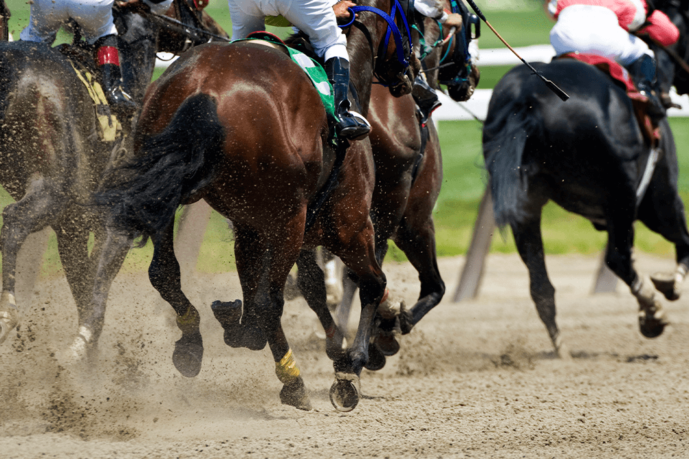 Horses Racing